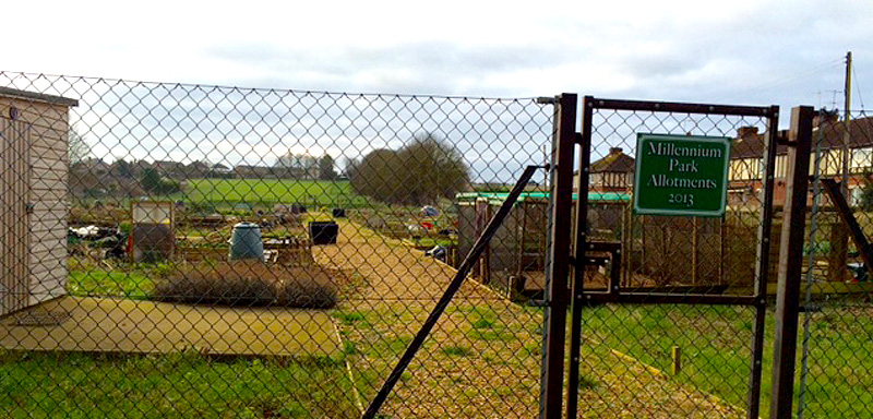 Millenium Park Allotments