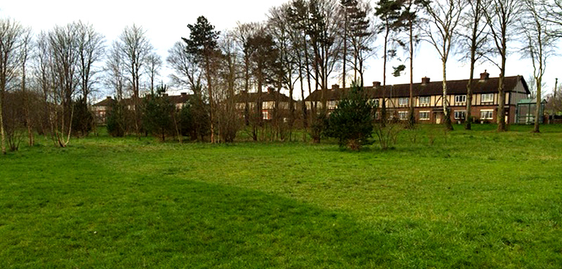 Avon Fields Meadow